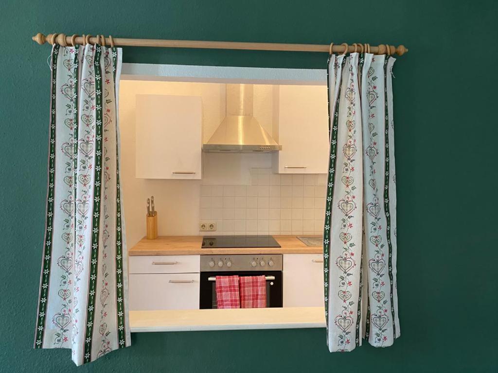 Ferienappartment Zum Grünen Hirsch Apartment